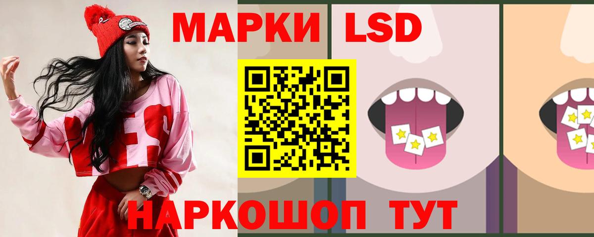 МЕФ Сегежа