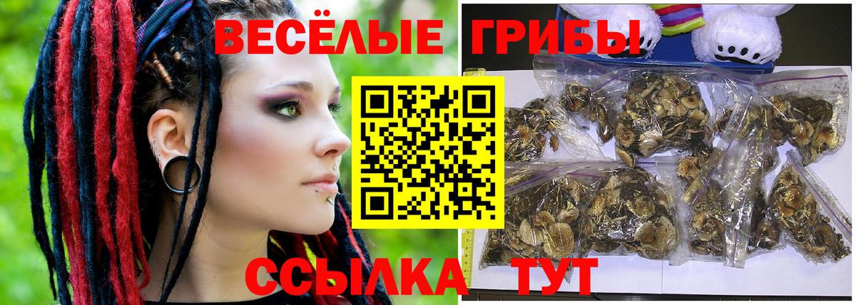 Галлюциногенные грибы Psilocybine cubensis Сегежа