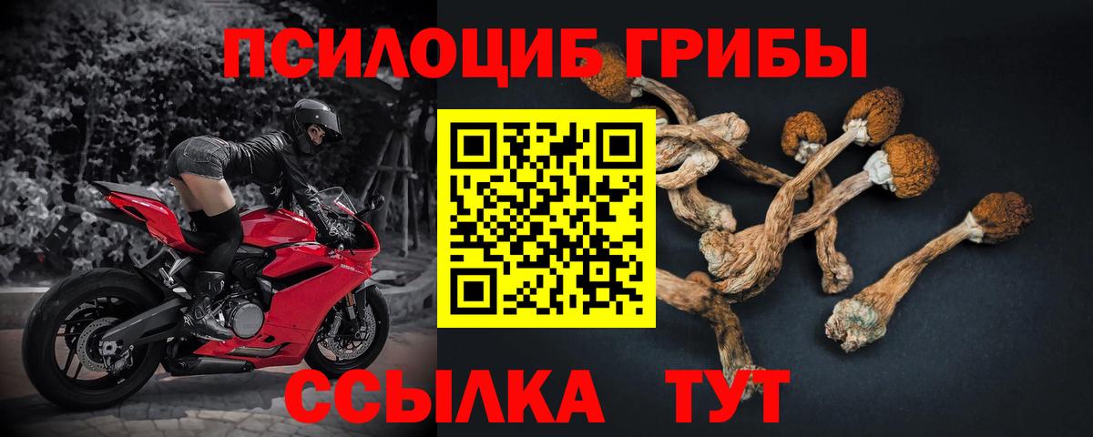 Псилоцибиновые грибы ЛСД  Вход с VPN  Сегежа 