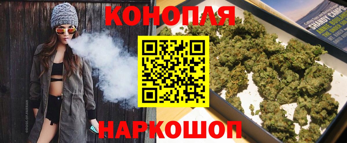 Конопля сатива Сегежа