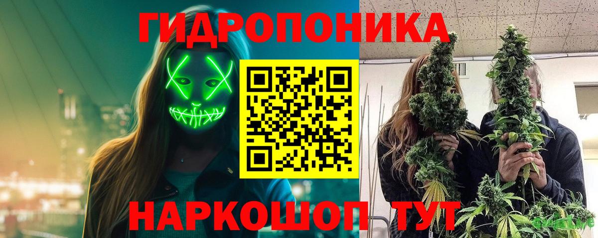 Каннабис White Widow  Вход с VPN  Бошки Шишки марихуана  МАРИХУАНА OG Kush  Сегежа  Шишки марихуана конопля 